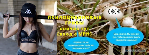 тгк Богородск