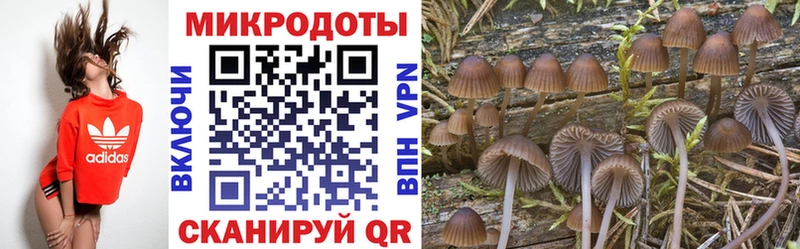 наркотики  Волгореченск  сайты даркнета официальный сайт  Псилоцибиновые грибы Psilocybe  MEGA рабочий сайт 